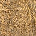 Greek Wool Camel Shag Rug (5' x 8')