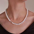 Freshwater Cultured Pearl Strand with Silver Clasp (8-9mm/18in)