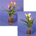 Silk Calla Plant with Glass Vase
