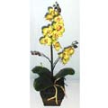 Silk Phaleonopsis Orchid in Dark Wooden Pot