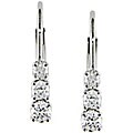 14k White Gold 1/4ct TDW Diamond Earrings (Case of 3)