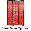 Feng Shui Shoji Screen (China)