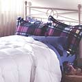 Down Alternative 400 Thread Count Egyptian Cotton Comforter