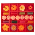 Aroma Candles with Lotka Paper Gift Box