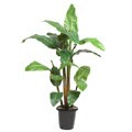 Banana Silk Tree (5 ft.)