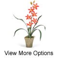 Potted Cymbidium Silk Orchid Plant