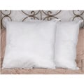 Down Alternative European Square Pillows (Set of 2)