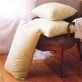Brushed Cotton Microfeather Pillows (Set of 2)