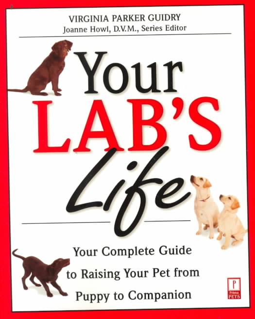 Your Lab's Life