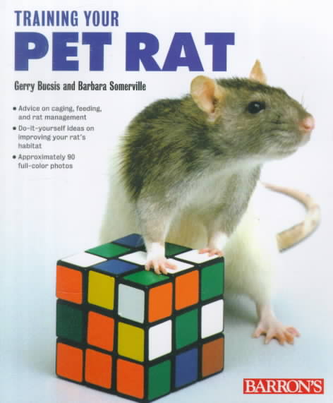 Training Your Pet Rat