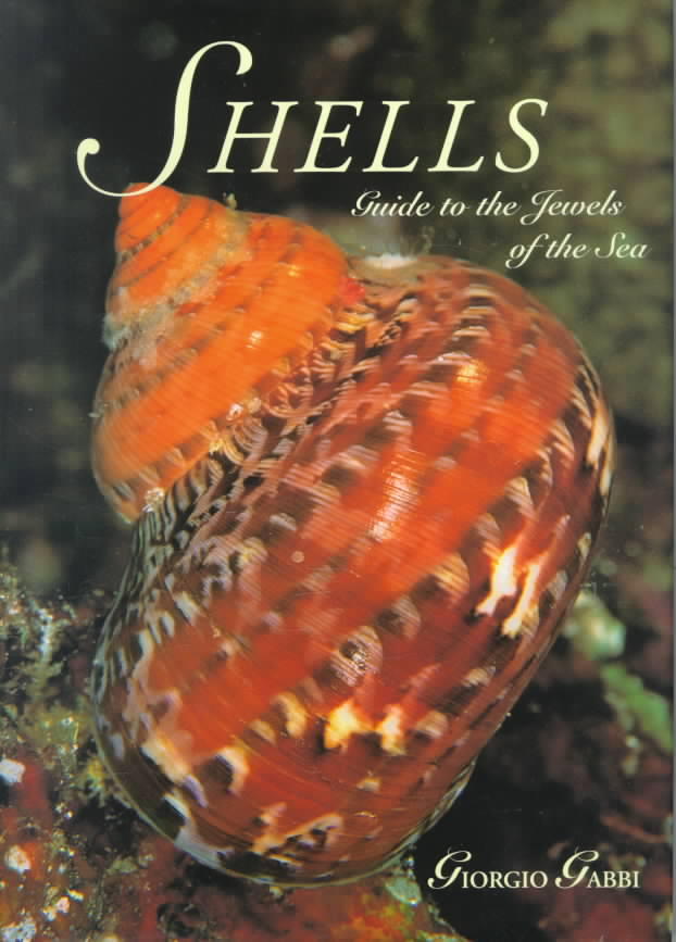Shells