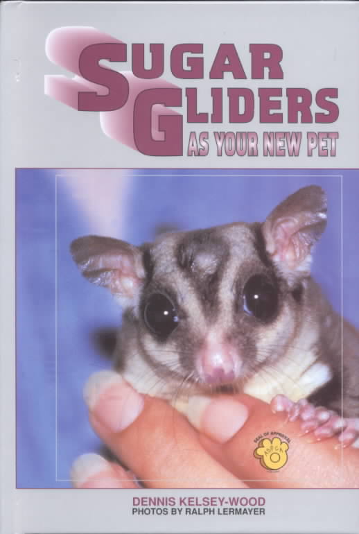 Sugar Gliders As Your New Pet