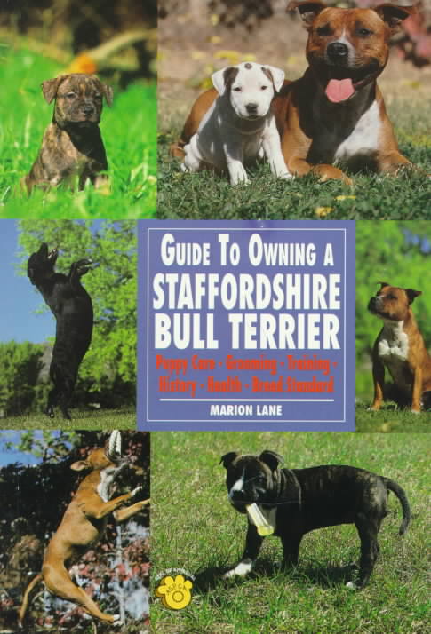 Guide to Owning a Staffordshire Bull Terrier