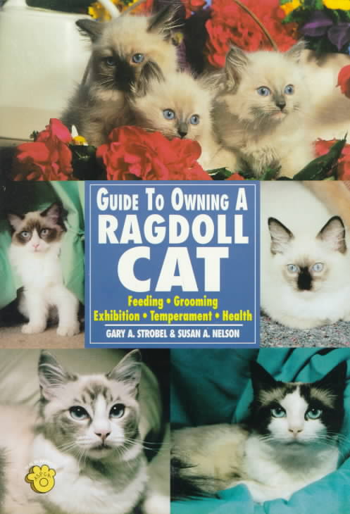 Guide to Owning a Ragdoll Cat