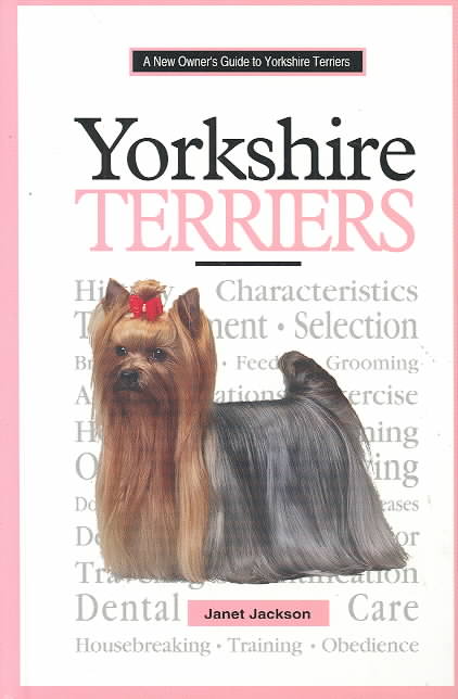 A New Owner's Guide to Yorkshire Terriers