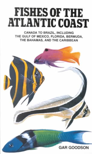 Fishes of the Atlantic Coast