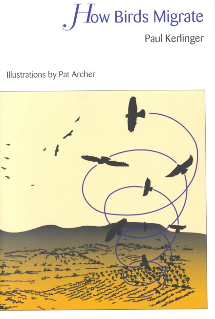 How Birds Migrate