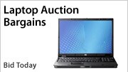 Shop Auctions