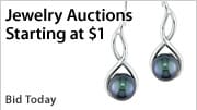 Shop Auctions