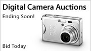 Shop Auctions