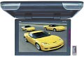 Overhead video screen