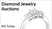 Shop Auctions