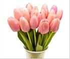 Shop Flowers