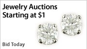 Shop Auctions