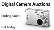 Shop Auctions