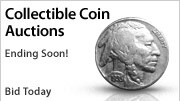 Shop Auctions