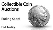 Shop Auctions