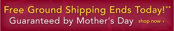 LAST DAY FREE GROUND SHIPPING - GUARANTEED BY MOTHER'S DAY - SHOP NOW