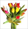 Shop Gifts & Flowers