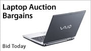 Shop Auctions