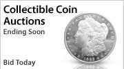 Shop Auctions