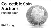 Shop Auctions