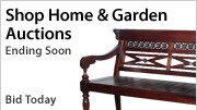Shop Auctions