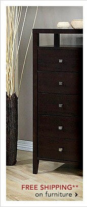 FREE SHIPPING ON FURNITURE* - SHOP NOW
