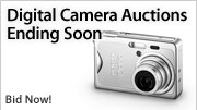 Shop Auctions