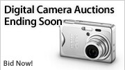 Shop Auctions