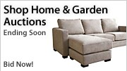 Shop Auctions