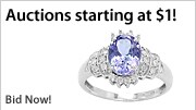 Shop Auctions