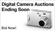 Shop Auctions