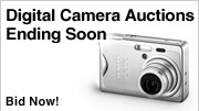 Shop Auctions