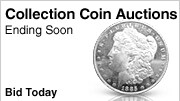 Shop Auctions