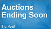 Shop Auctions