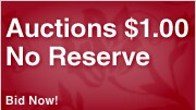 Shop Auctions