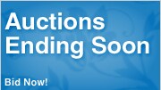 Shop Auctions