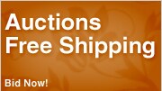Shop Auctions