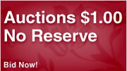 Shop Auctions